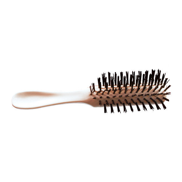 Hair Brush for Personal Care and Hygiene Sold in Bulk