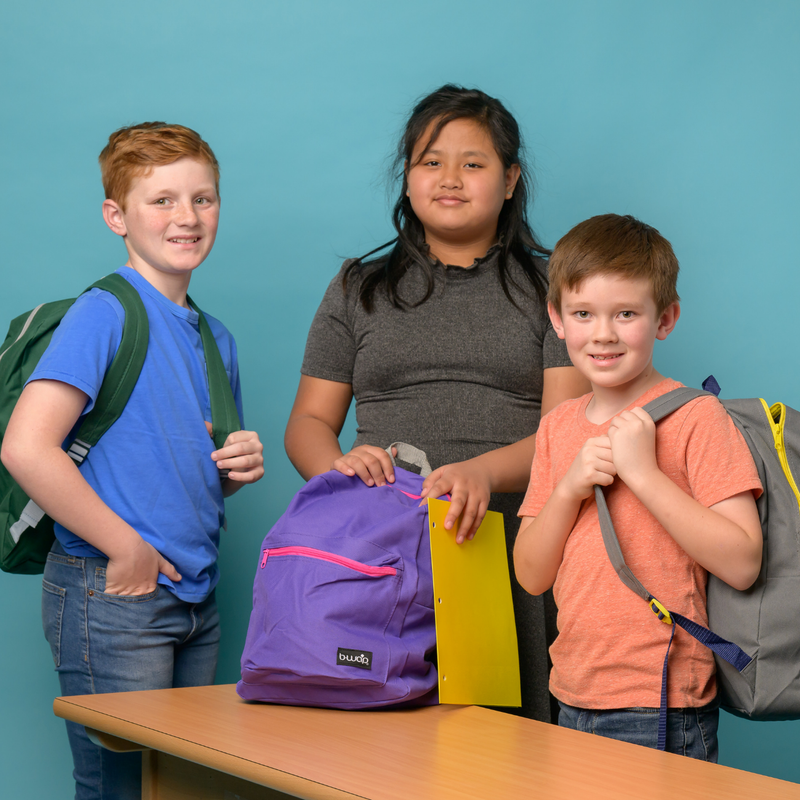 Wholesale 17" Standard Backpack Assorted Colors