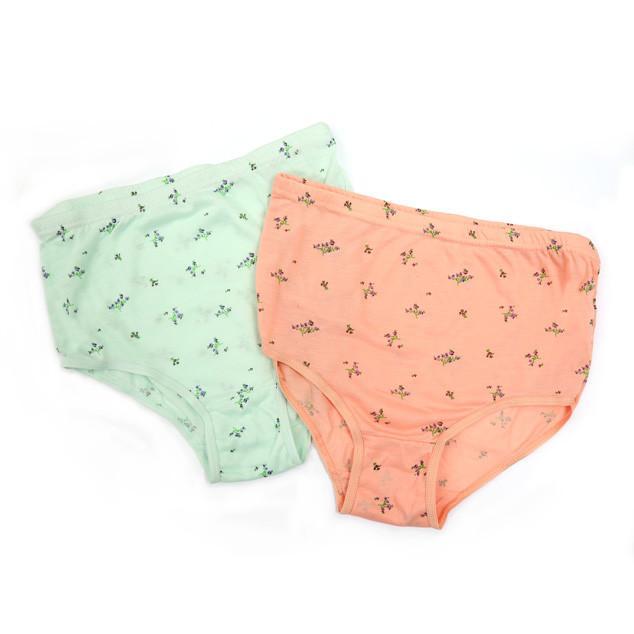 Small Wholesale Ladies Flower Print Assorted Color Briefs Sold in Bulk